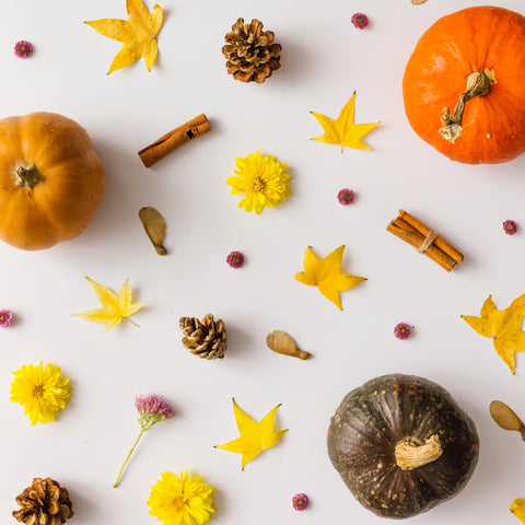 The Best Halloween Treat for Healthy Teeth